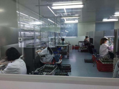 三明蘭花科技小院產(chǎn)品遠銷海外